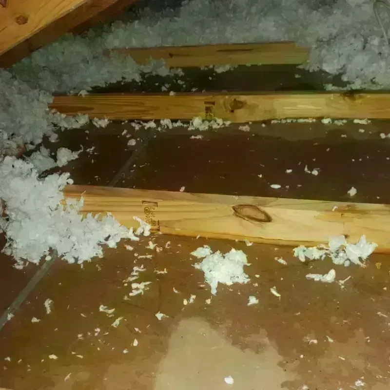 Attic Water Damage in Avon, MN