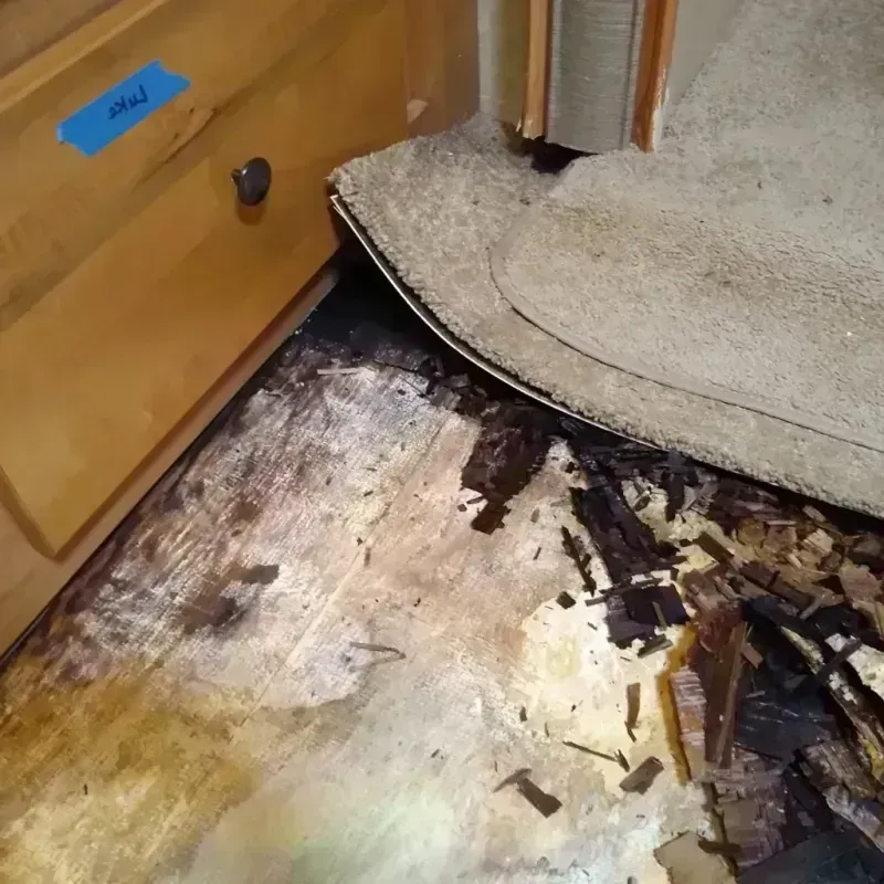 Wood Floor Water Damage in Avon, MN